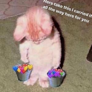 久久男人的天堂AV
