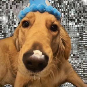 久久男人的天堂AV
