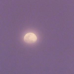 久久男人的天堂AV
