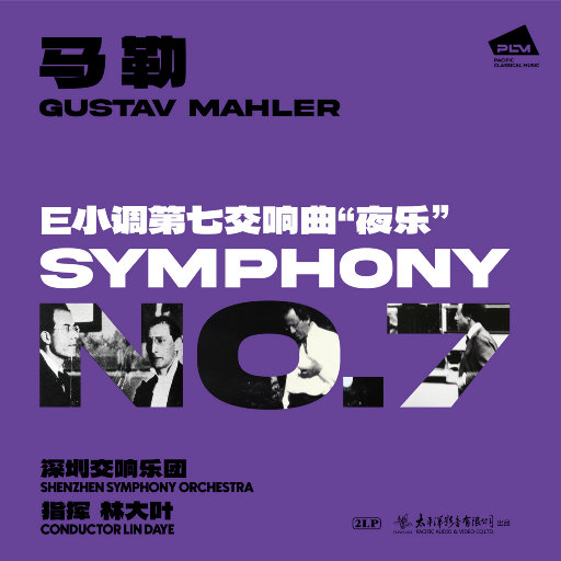 久久男人的天堂AV
